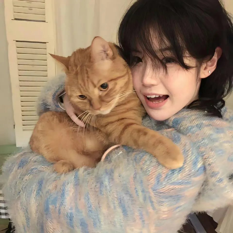 千王之王重出江湖国语